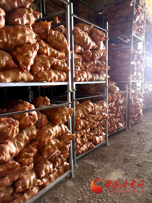 山丹:首张食用农产品合格证诞生啦!