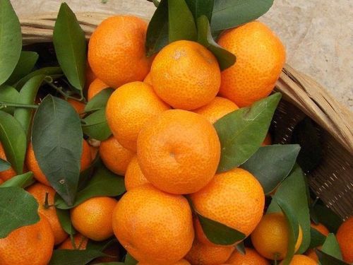 怒江傈僳族自治州食用农产品公司优秀企业推荐